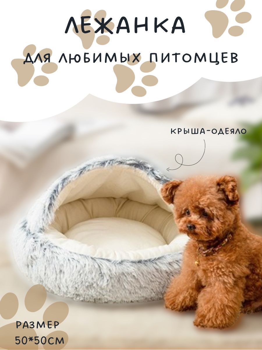 Канадский Сфинкс Велюр