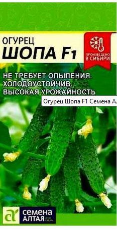 Семена огурец шопа