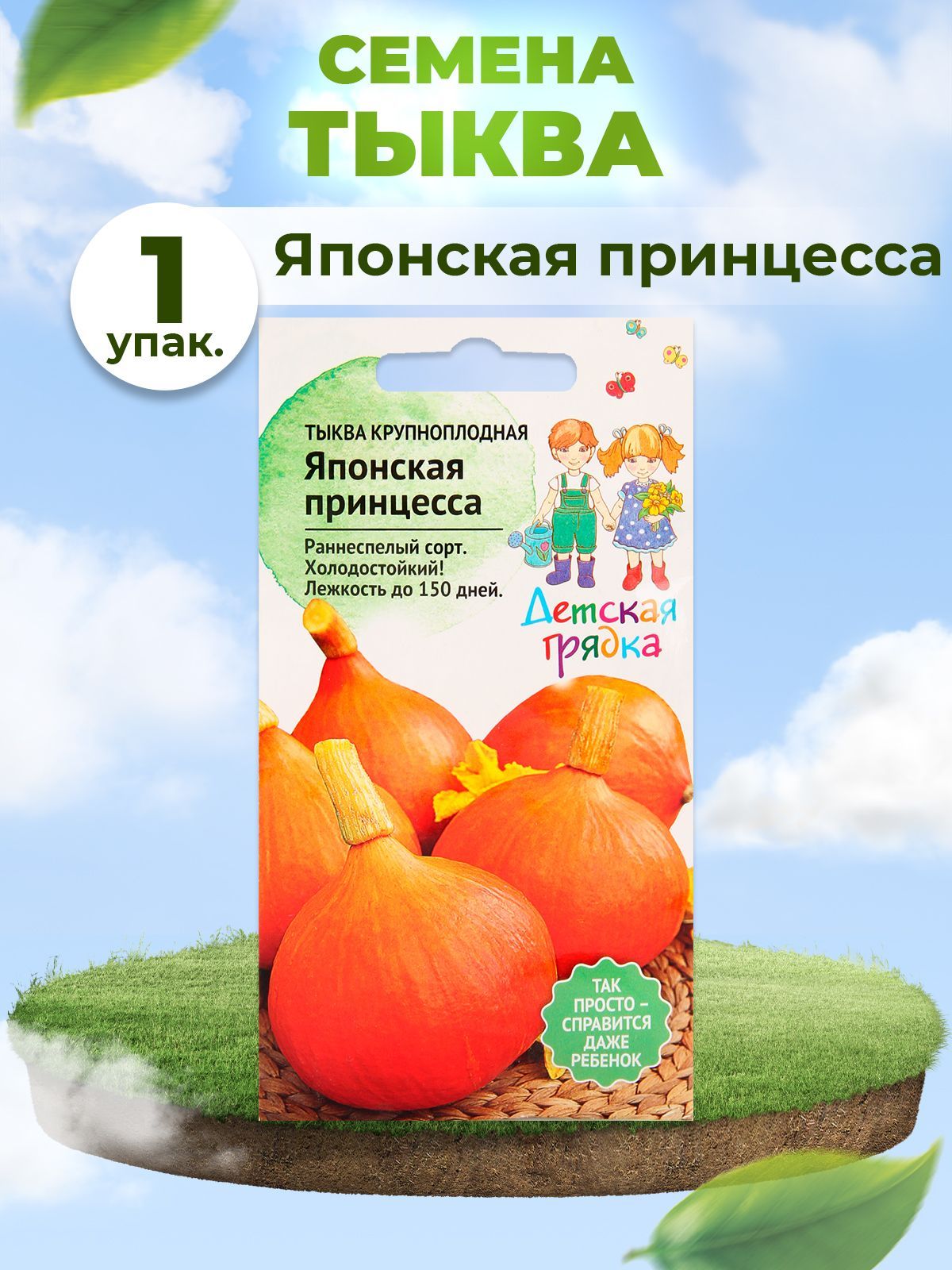 Тыква японская принцесса. Тыква японка. Японская тыква кабоча. Японские сорта тыквы. Тыква японская принцесса.