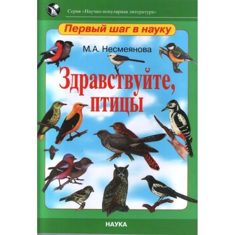 здравствуйте пернатые. рисунки здравствуйте пернатые. весенние птички. акция здравствуй пернатый друг в саду. здравствуйте, птицы.