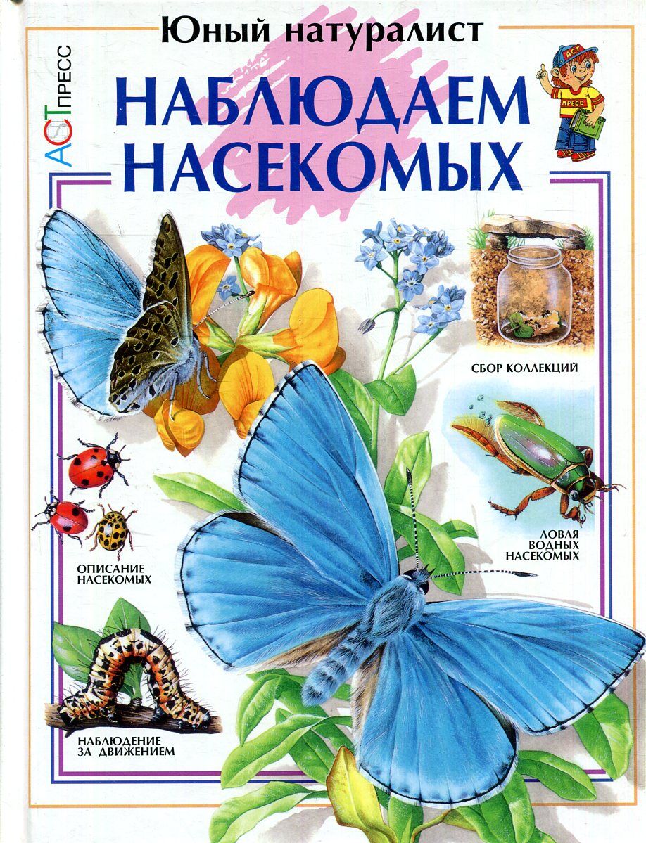 За жизнью насекомых наблюдают