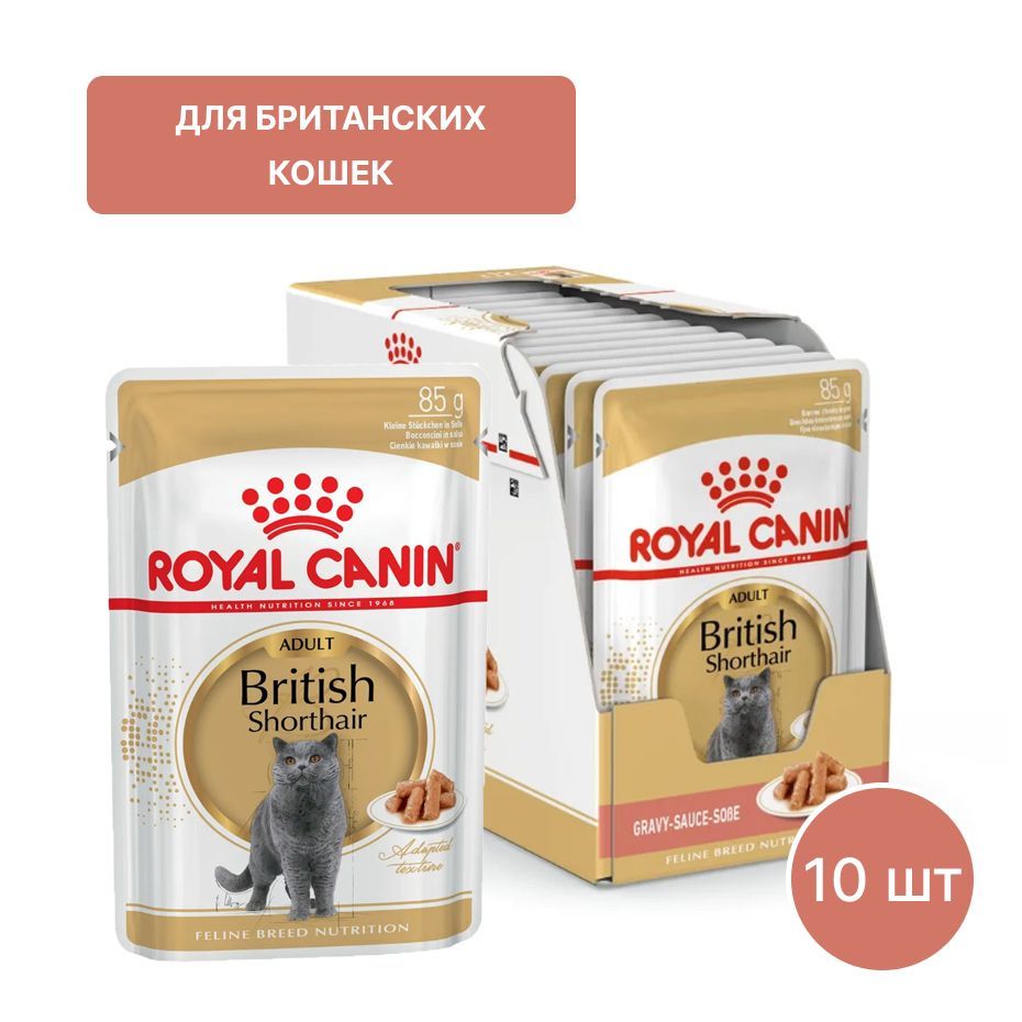 Royal canin для британских кошек