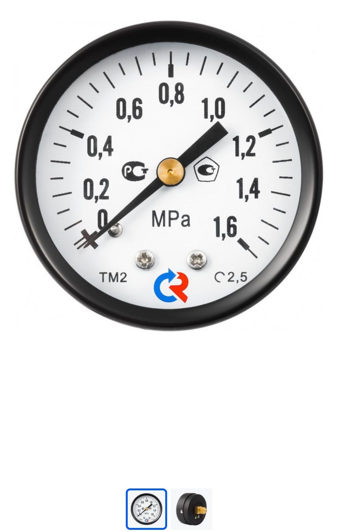 1 6 мпа климатическое. Манометр общетехнический ТМ-310р00. Манометр Росма 0.6 МПА. Росма TM-310t. Манометр Росма ТМ 310 (0-1 МПА) g1/4.