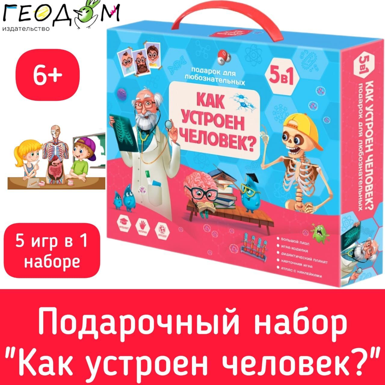 Подарочный набор. Как устроен человек? 5 в 1/Настольные игры для  детей/Геодом - купить с доставкой по выгодным ценам в интернет-магазине  OZON (1010661459)