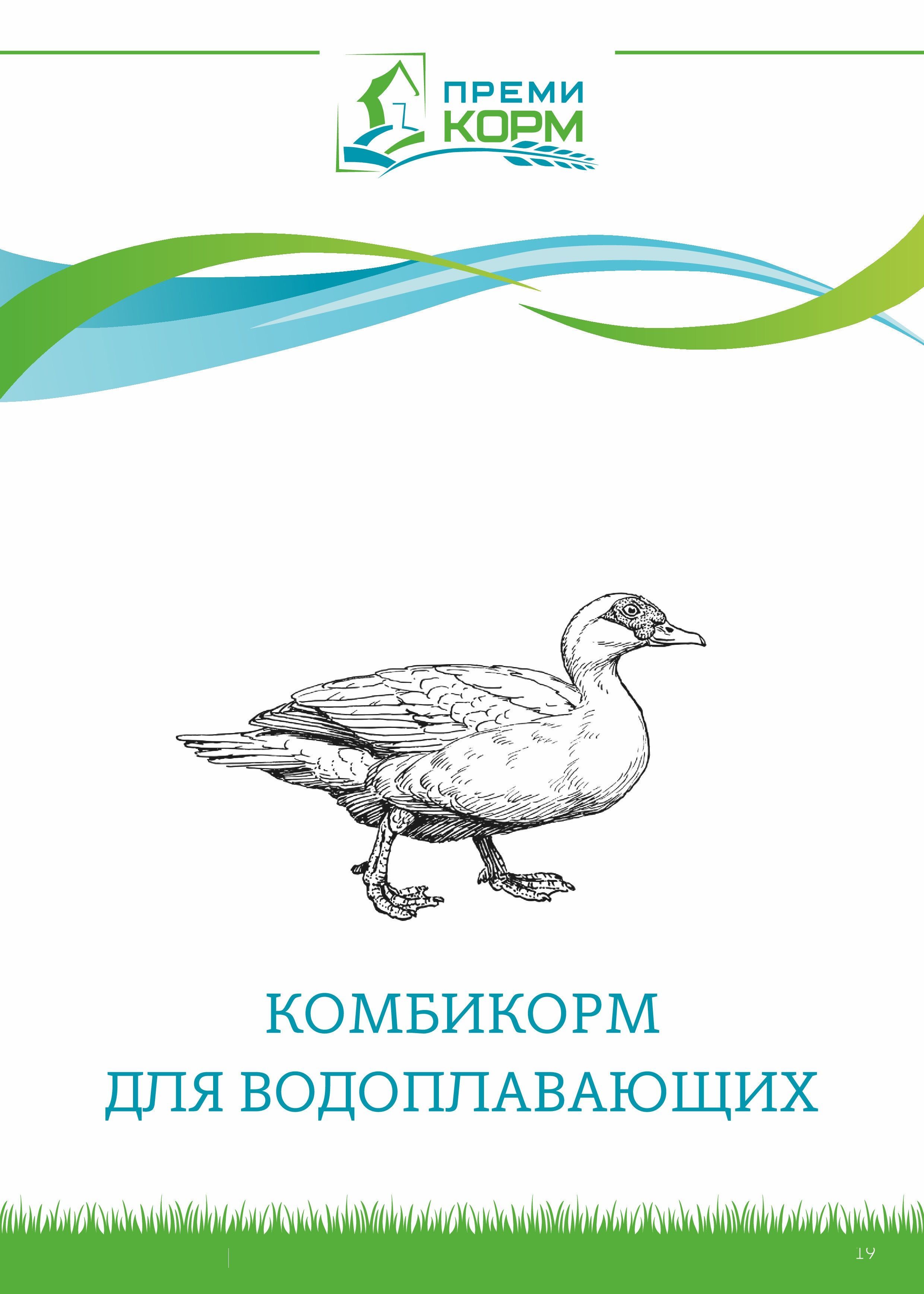 Комбикорм для УТОК ФИНИШ ПК-22-1 (с 21 дня и старше) Премикорм 5 кг -  купить с доставкой по выгодным ценам в интернет-магазине OZON (1017738812)