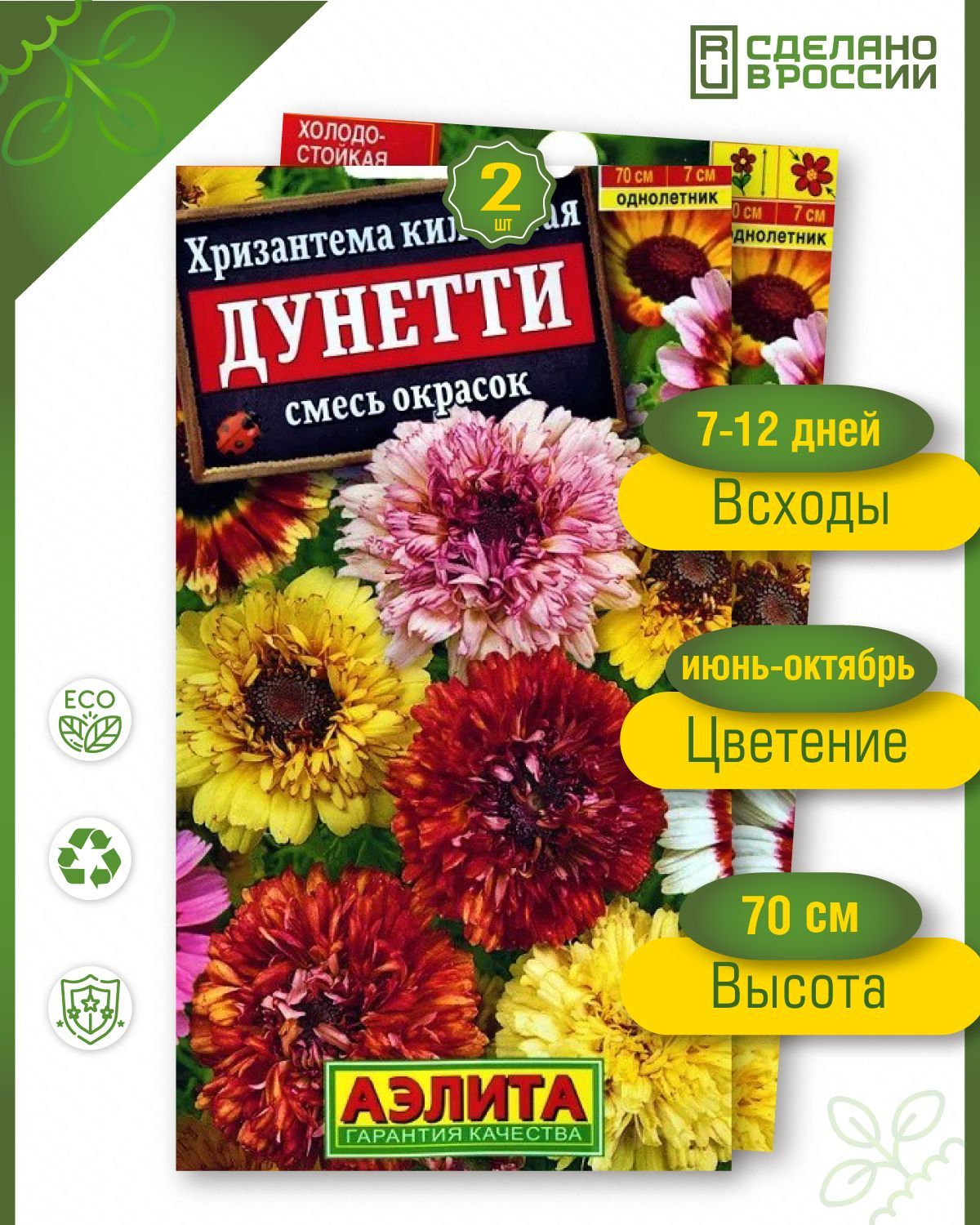 Хризантема килеватая Дунетти. Хризантема Дунетти махровая. Хризантема килеватая смесь. Хризантема дунетти