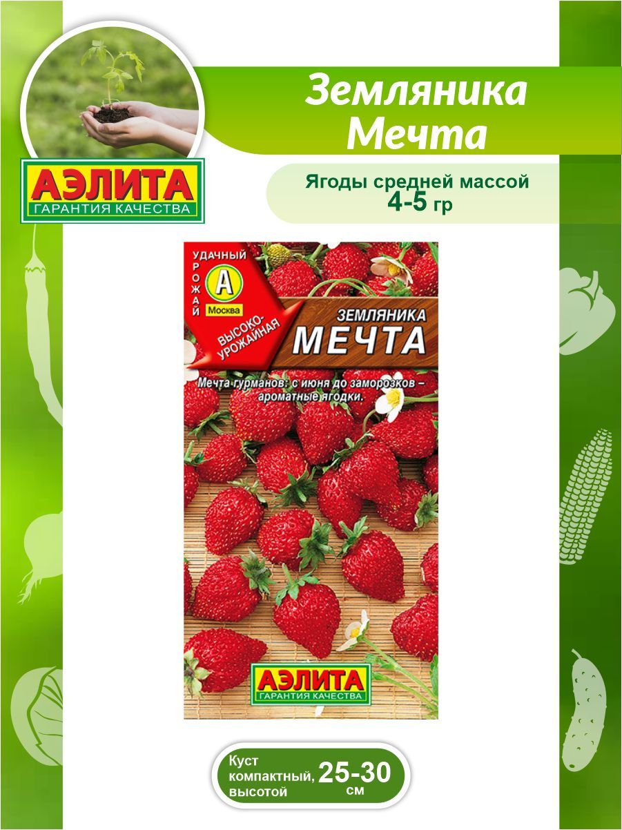 Сорт ароматной и сладкой клубники. Дикая земляника рассада. Земляника рюген ремонтантная 0,04гр. Земляника альпийская мечта 0,04гр. Земляника альпийская мечта описание сорта.
