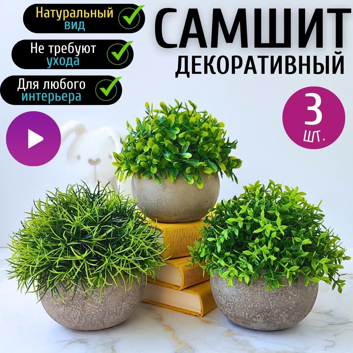 Купить Искусственные цветы в горшке Самшит. Декоративные цветы в кашпо для  интерьера по выгодной цене в интернет-магазине OZON.ru (1532858398)