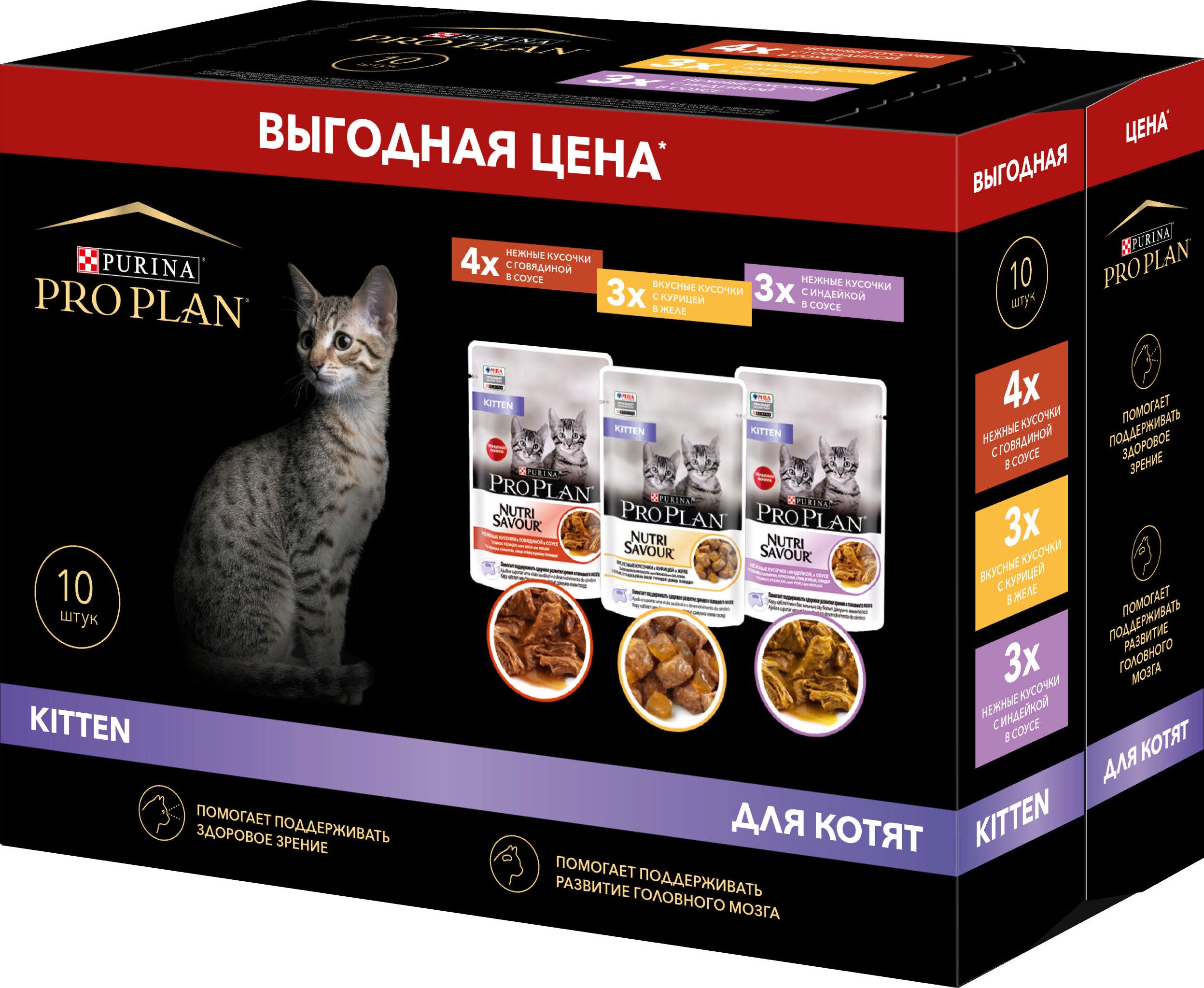Pro plan kitten