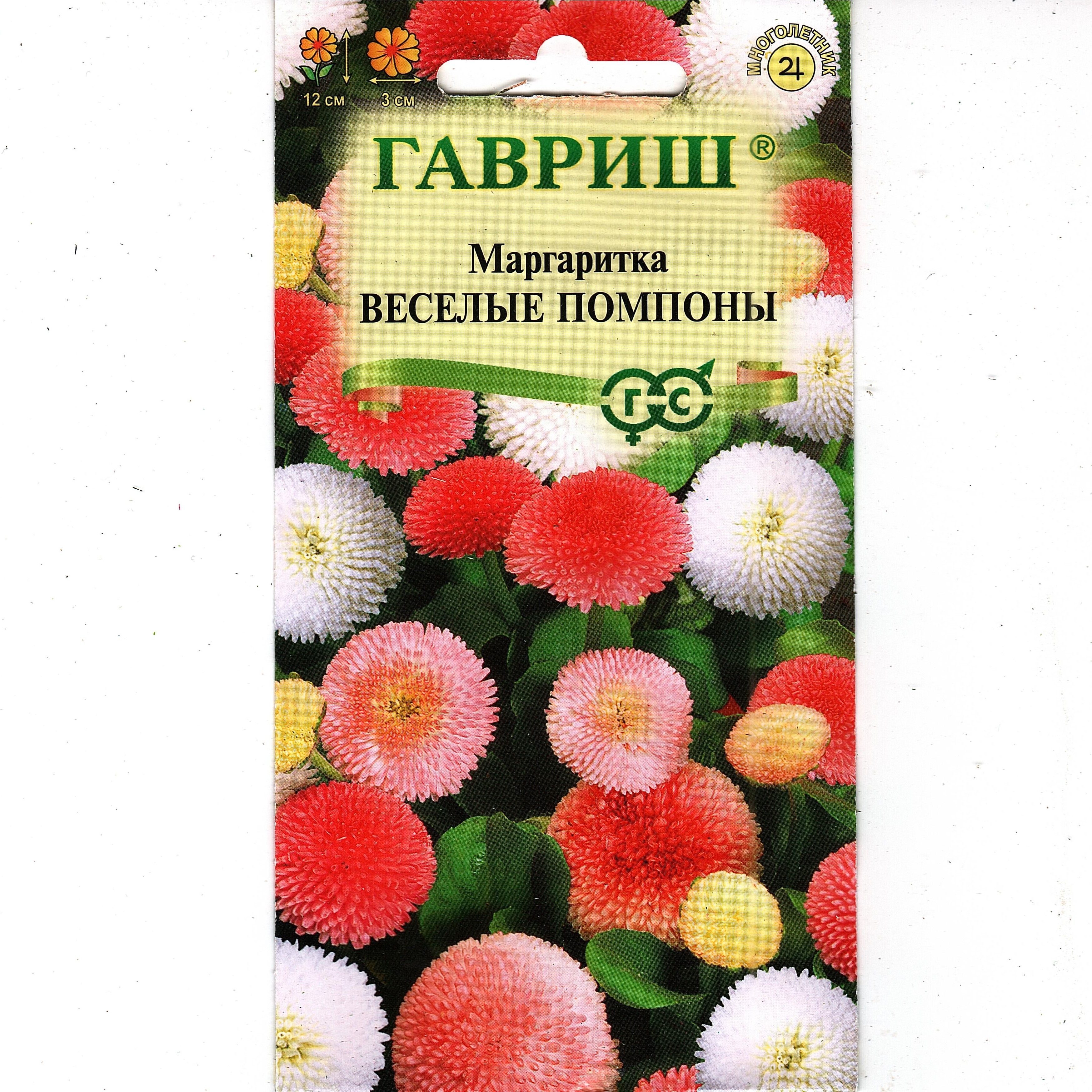 Маргаритки Семена Купить