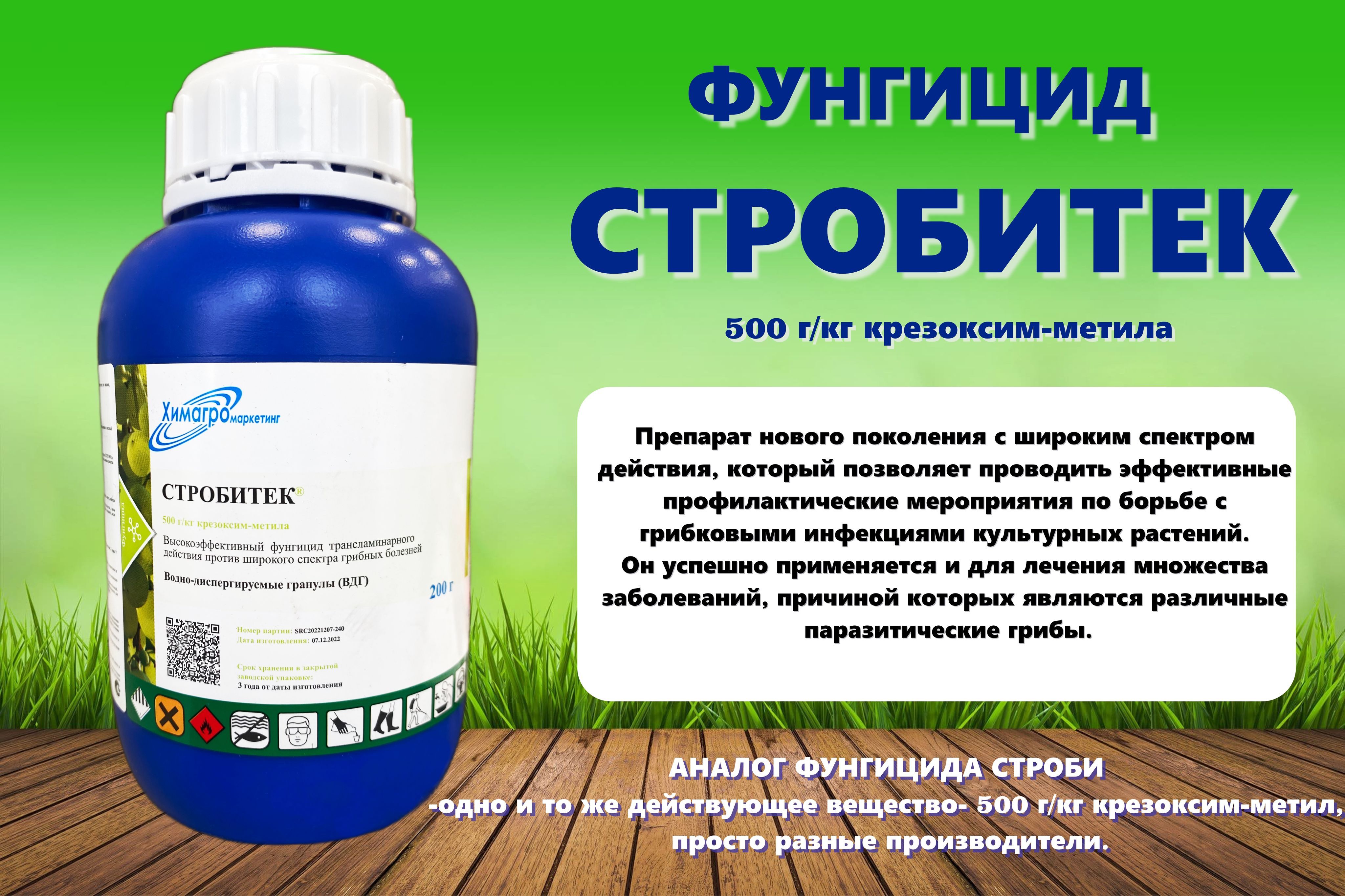 Фунгицид стробитек. Стробитек. фунгицид стробитек 200 г. стробитек инструкция для винограда.