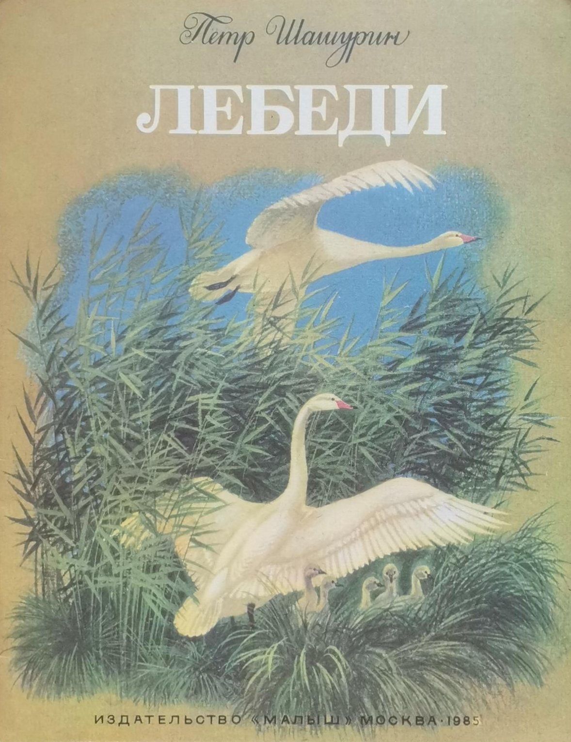 Произведение лебедь. Лебеди толстой книга. Книги про лебедей для детей. Иллюстрация книги лебеди.