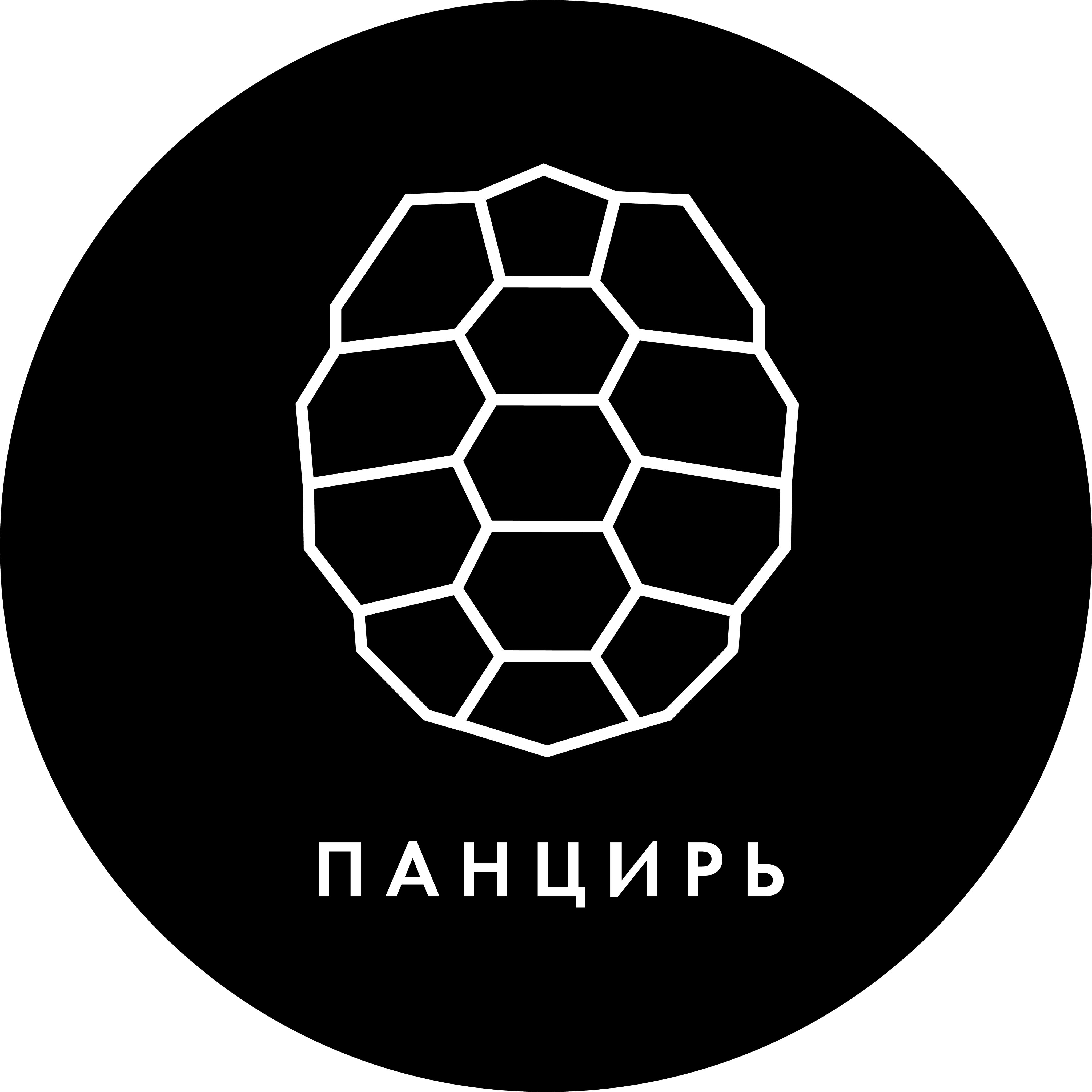 ПАНЦИРЬ — купить товары ПАНЦИРЬ в интернет-магазине OZON
