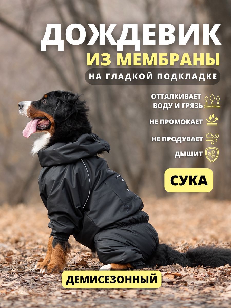 Комбинезон дождевик для собак крупных пород STORM plus, 60+ж (сука),  черный, 5XL+ - купить с доставкой по выгодным ценам в интернет-магазине  OZON (788179094)