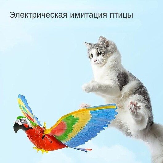 Птички для кошки