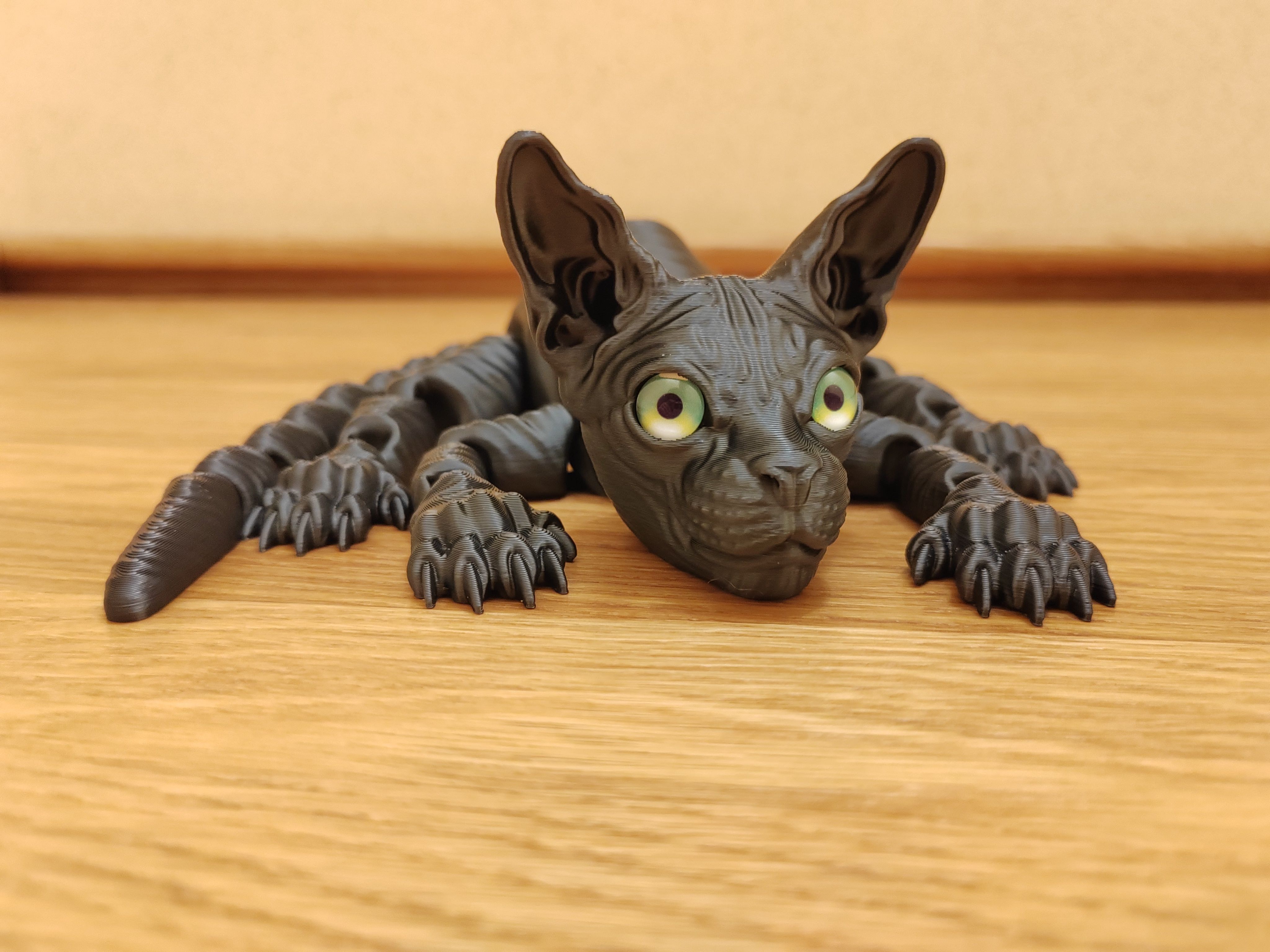 Кот сфинкс серый