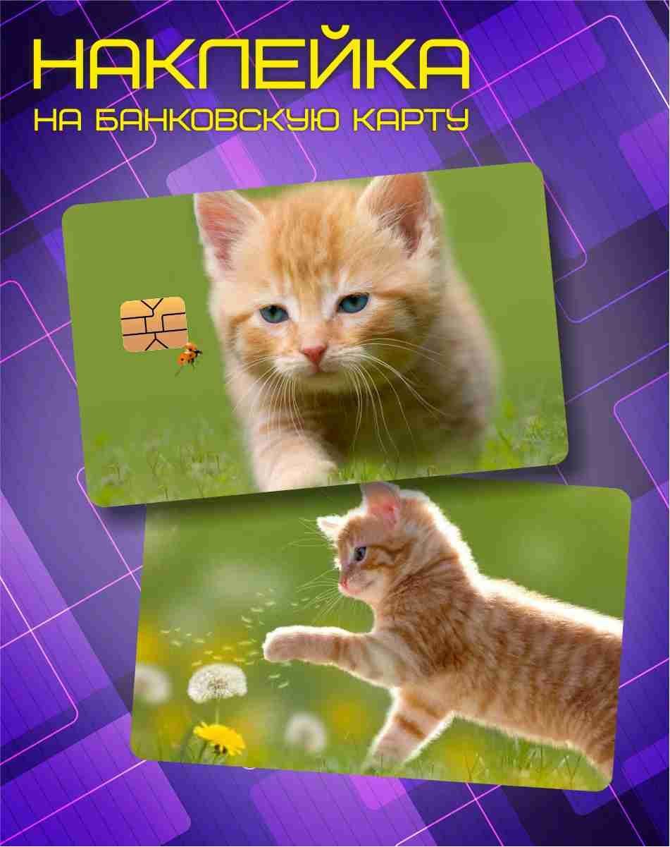 Рыжий кот карточки