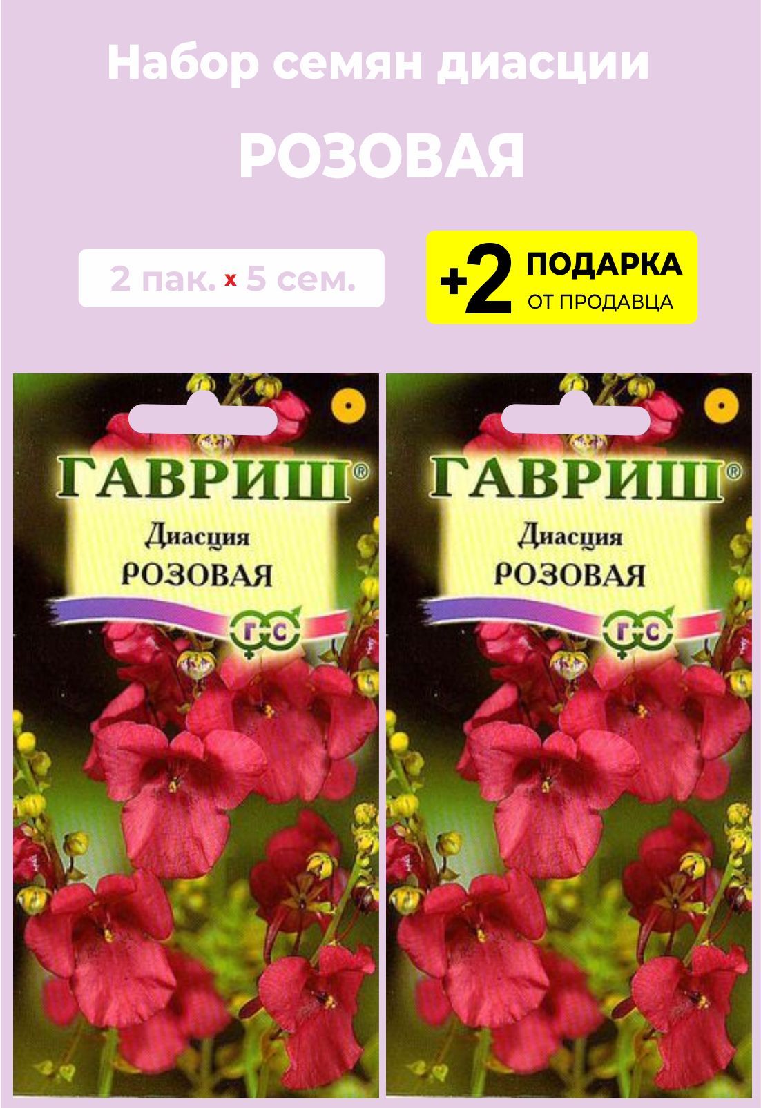 Где Можно Купить Семена Диасции