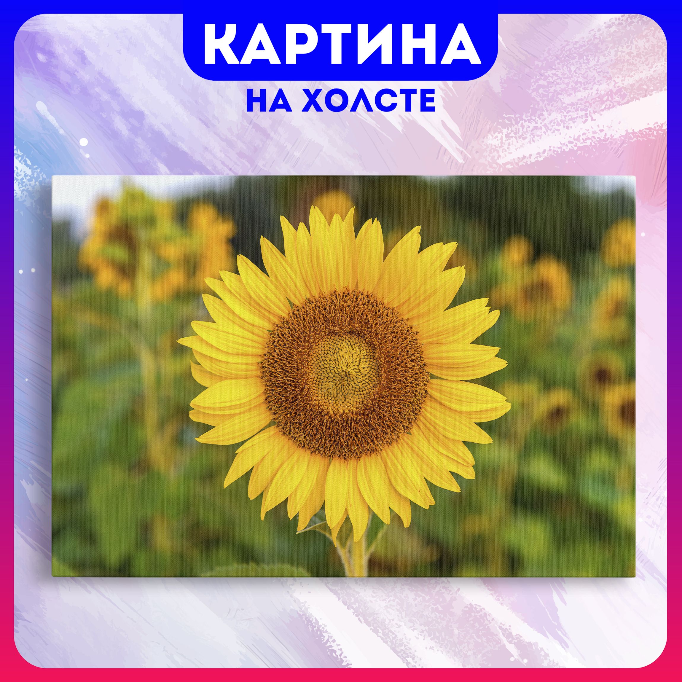 Картина на холсте Подсолнухи красивые цветы эстетика природа (2) 20х30 см -  купить по низкой цене в интернет-магазине OZON (1160678160)