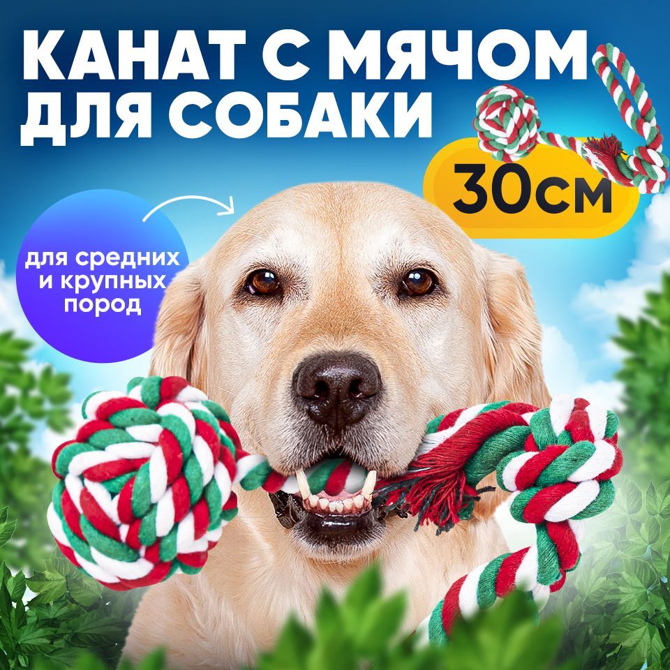 Прогулочный Трос для Собак – купить в интернет-магазине OZON по ...