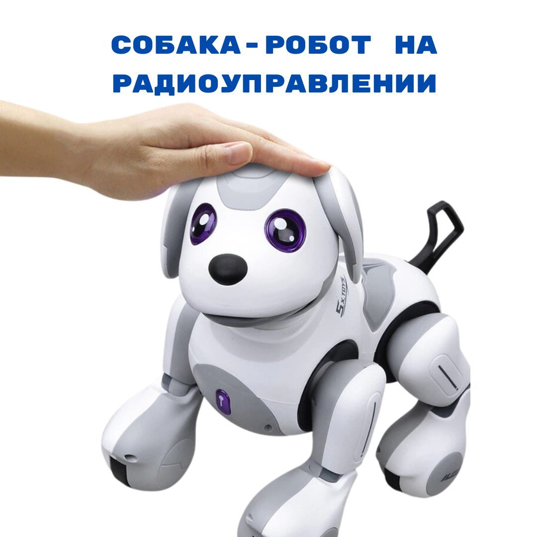 Робот собака обзор. Робот собака обзор