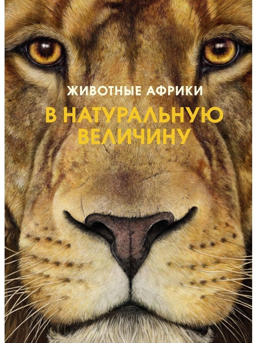 Хольгер Хааг: Животные Африки в натуральную величину | Хааг Хольгер