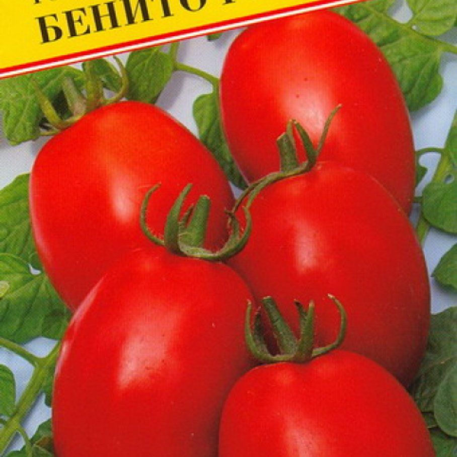 Томат бенито отзывы. Томат Бенито f1. Томат Хапинет f1. Томат Бенито f1/Престиж/ 5 шт.. Томат Бенито 10шт (Бейо) Агроэлита.
