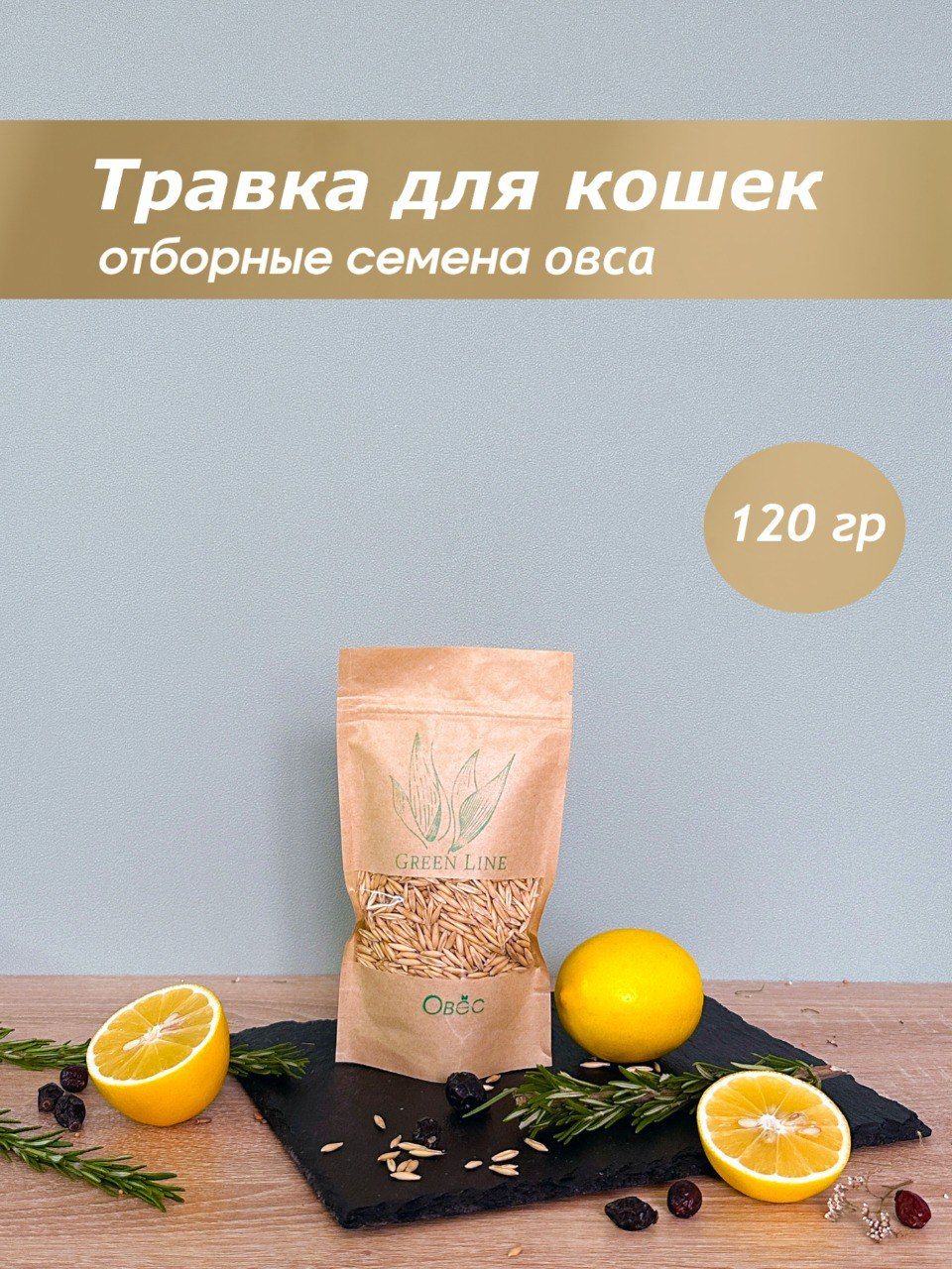 Трава для кошек, лакомство для кошек, добавка в корм, вкусняшки, для  проращивания - купить с доставкой по выгодным ценам в интернет-магазине  OZON (1222457520)