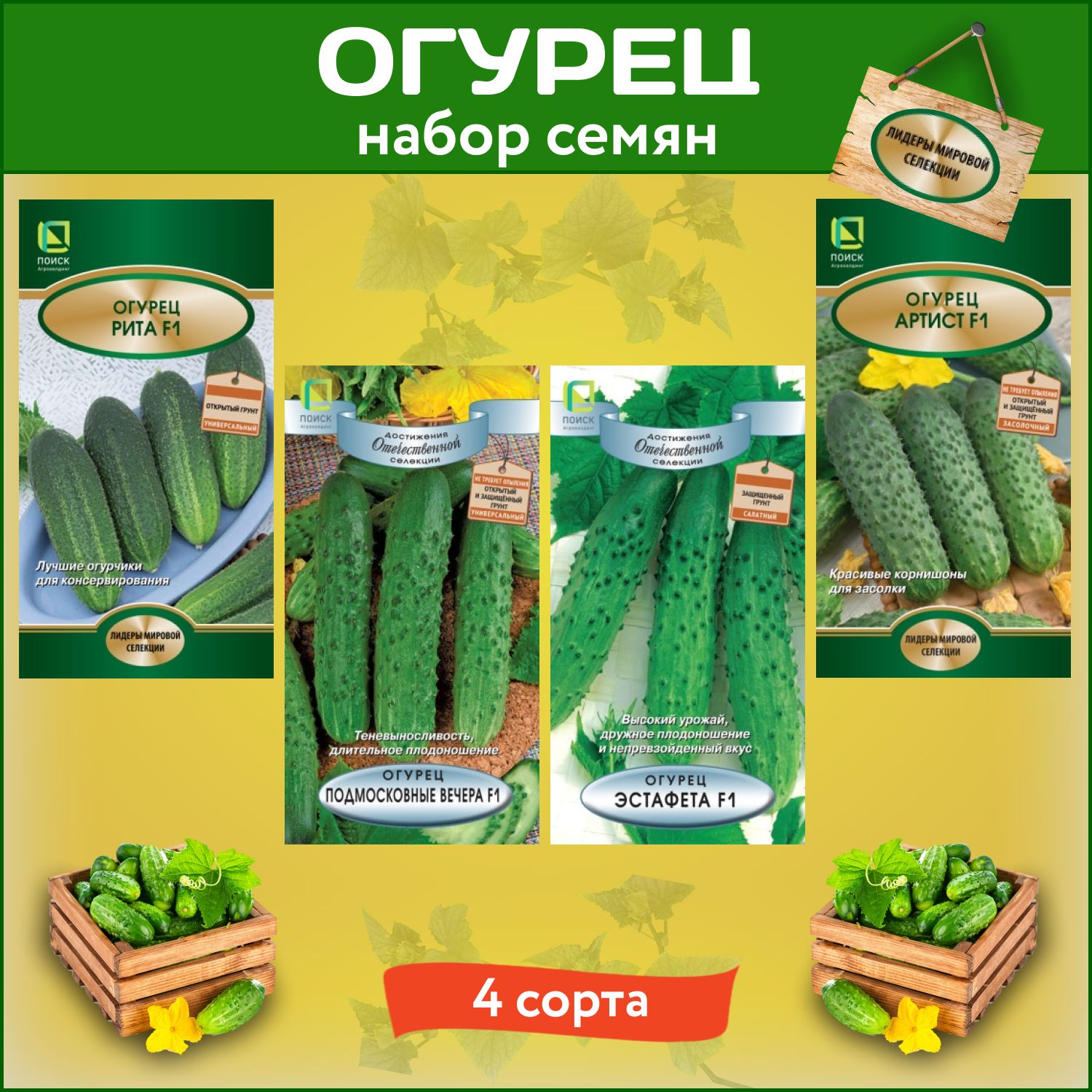 Огурцы Артист Отзывы Фото
