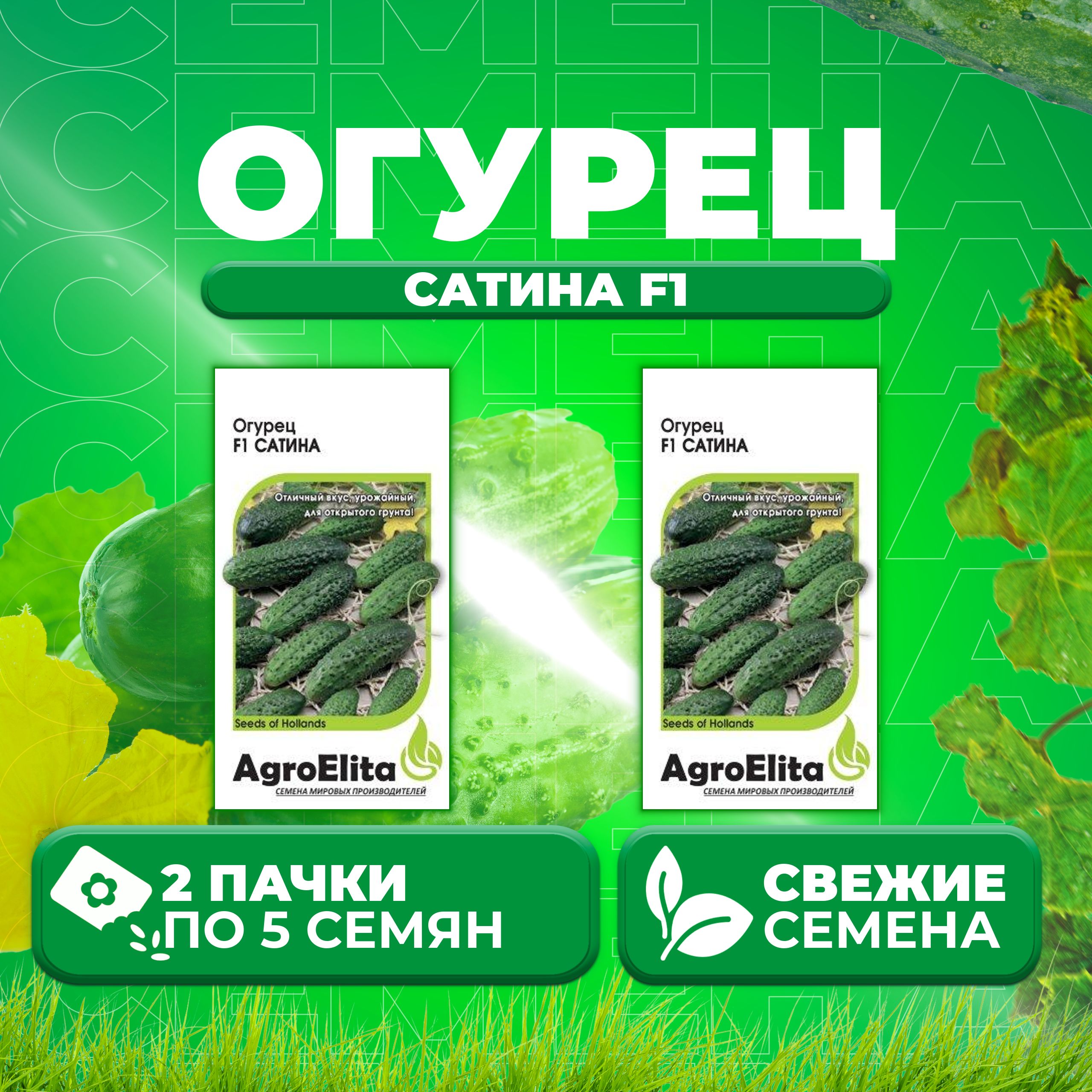 Огурцы Сатина Отзывы Фото