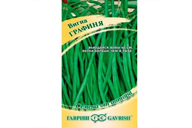 Купить Семена Вигны В Интернет Магазине