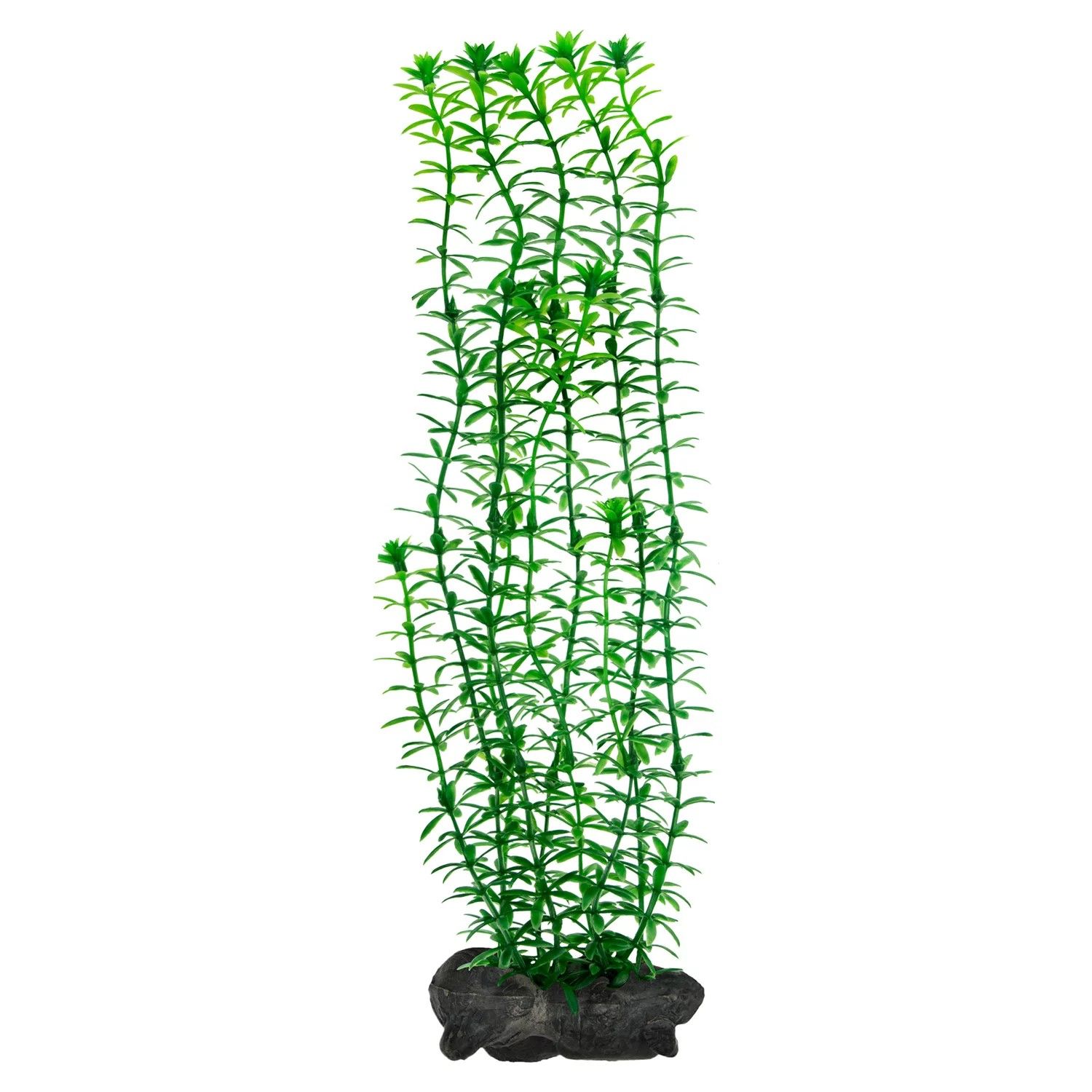 Тетра растение. Tetra plantastics Элодея искусственное растение. Tetra DECOART plantastics Anacharis. Tetra deco Art Элодея искусственное растение 30см. Tetra deco Art искусственное растение Элодея s (15 см).
