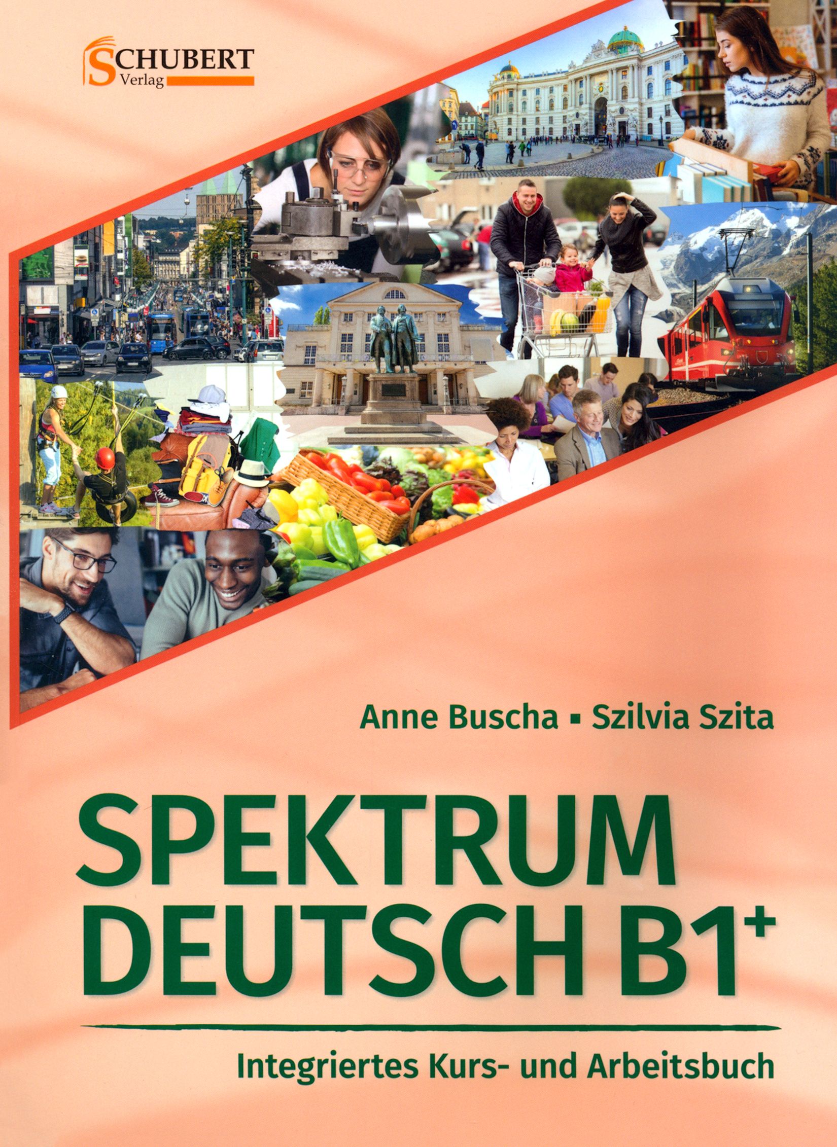 Spektrum Deutsch B1+. Integriertes Kurs- und Arbeitsbuch (+2CDs) / Рабочая  тетрадь / Buscha Anne | Buscha Anne - купить с доставкой по выгодным ценам  в интернет-магазине OZON (1464415473)