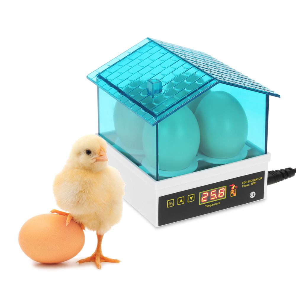Инкубаторы для яиц птиц купить. Мини инкубатор. Инкубаторы для попугаев автоматические. Инкубатор для яиц попугаев. Мини инкубатор на 4 яйца.