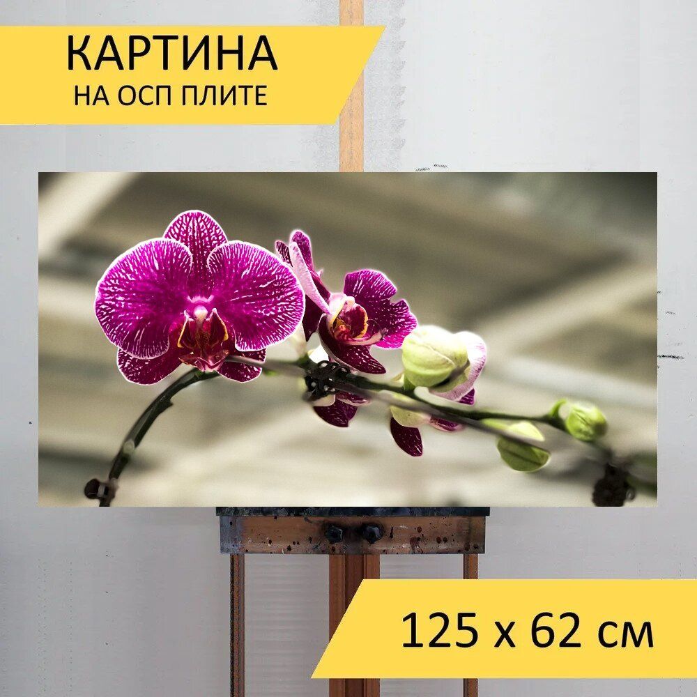 Картина цветов 