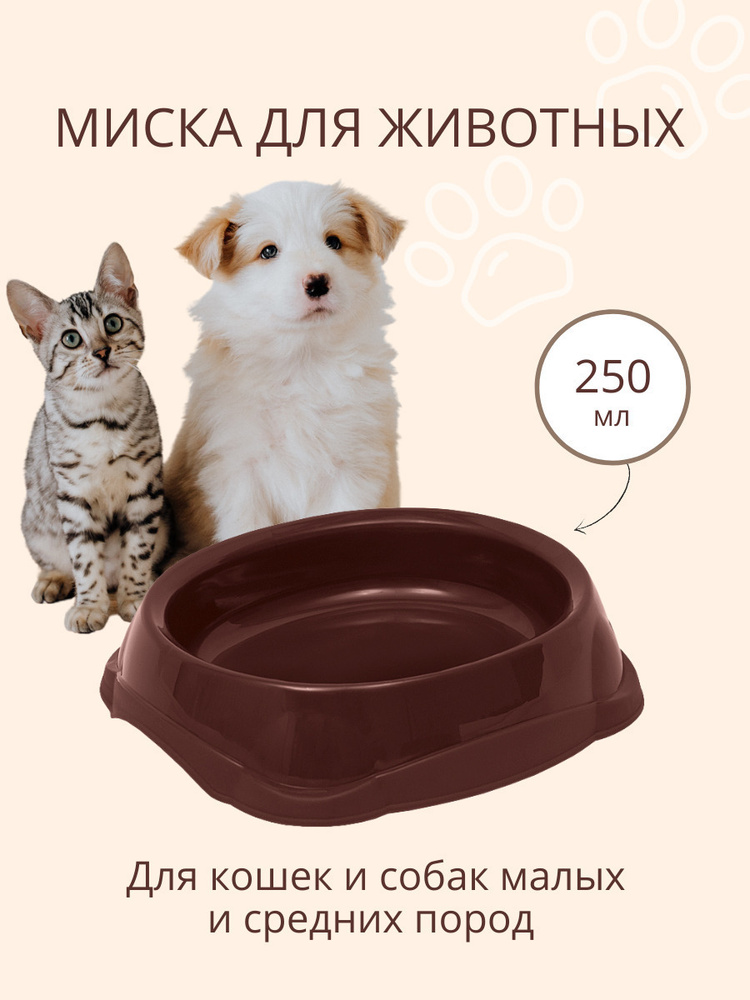 Миска для кошек, для собак DD Style / Пластиковая миска для воды и корма, коричневый, 250 мл  #1