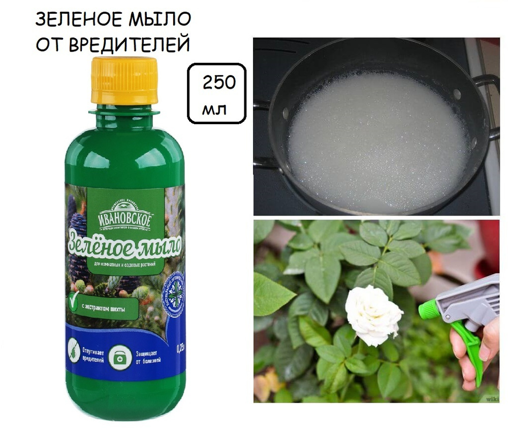 Зеленое мыло фото