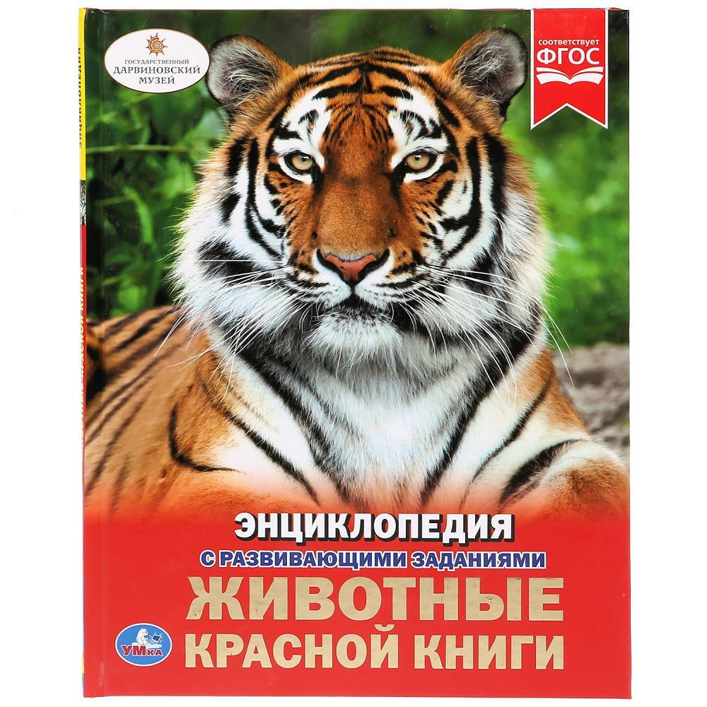 Звери из красной книги фото