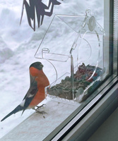 Кормушка для птиц на окно прозрачная на присосках Mini 160х135х70мм. Спонсорские товары