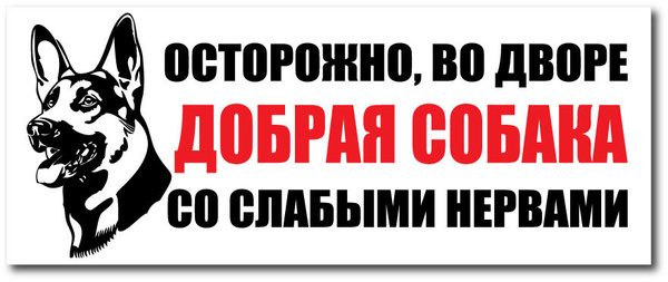 Табличка "злая собака". Слабая нервная система у ребенка. Не слабо нервный. Осторожно собака табличка. Не для слабонервных надпись.