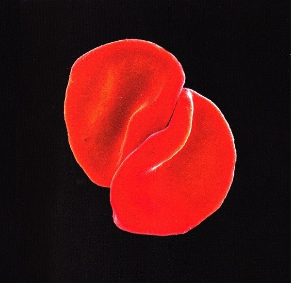 Audio CD Peter Gabriel Scratch My Back. 2 CD купить по низким ценам