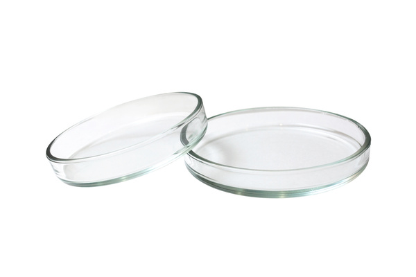 Чашка микробиологическая (Петри) стекло , 1 шт. размер 100*20 мм ...