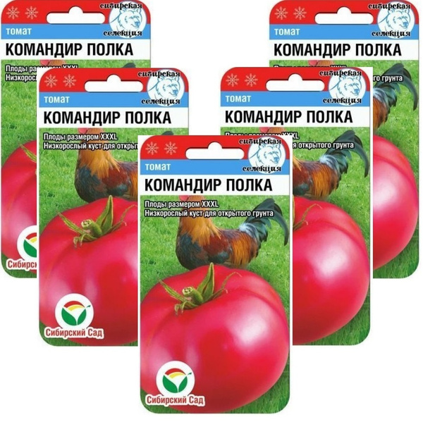 Томат командир полка сибирский сад. Томат командир полка сибирский сад. Командир полка томат описание. Помидоры командир полка. Томат командир полка /сиб.