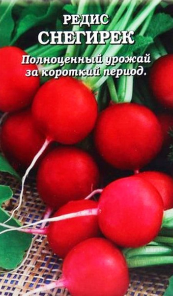 Редис снегирек. Редис снегирек фото. редис золотое чудо. редис жара (2г) золотая сотка алтая.