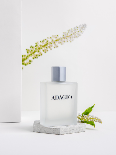 Dilis ADAGIO Туалетная вода 100 мл (1591387482)