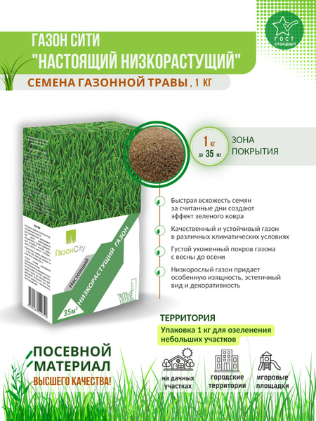 Овсянница ГазонCity Низкорастущий_зеленый - купить по выгодным ценам в ...