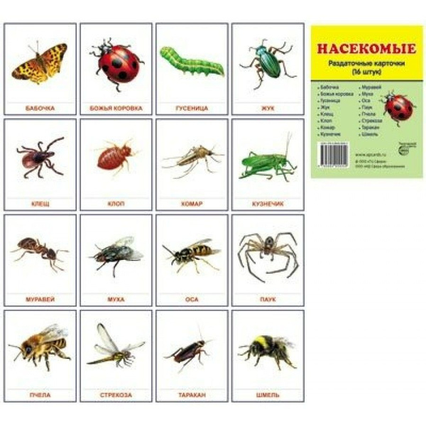 ОПОРНЫЕ СХЕМЫ ДЛЯ СОСТАВЛЕНИЯ ОПИСАТЕЛЬНЫХ РАССКАЗОВ #РазвитиеРечи Интересный ко