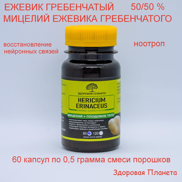 Ежевик (ежовик) гребенчатый (плодовое тело + мицелий) 60 капсул ...