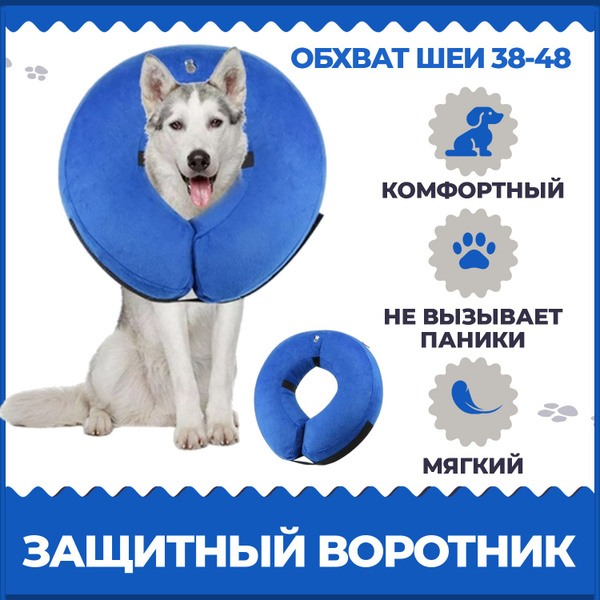 Воротник для собак. Защитный, надувной, размер L, синий - купить с ...