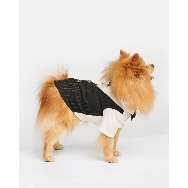 Костюм для собак Zoozavr белый 35 - купить с доставкой по выгодным ...